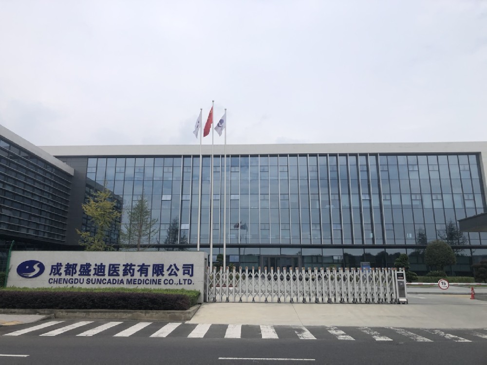 盛迪医药10T低氮蒸汽锅炉
