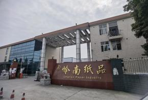 崇州岭南纸品4吨低氮燃气蒸汽锅炉