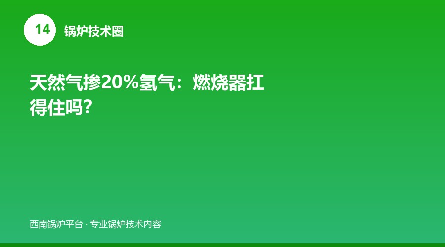天然气掺20%氢气：燃烧器扛得住吗？